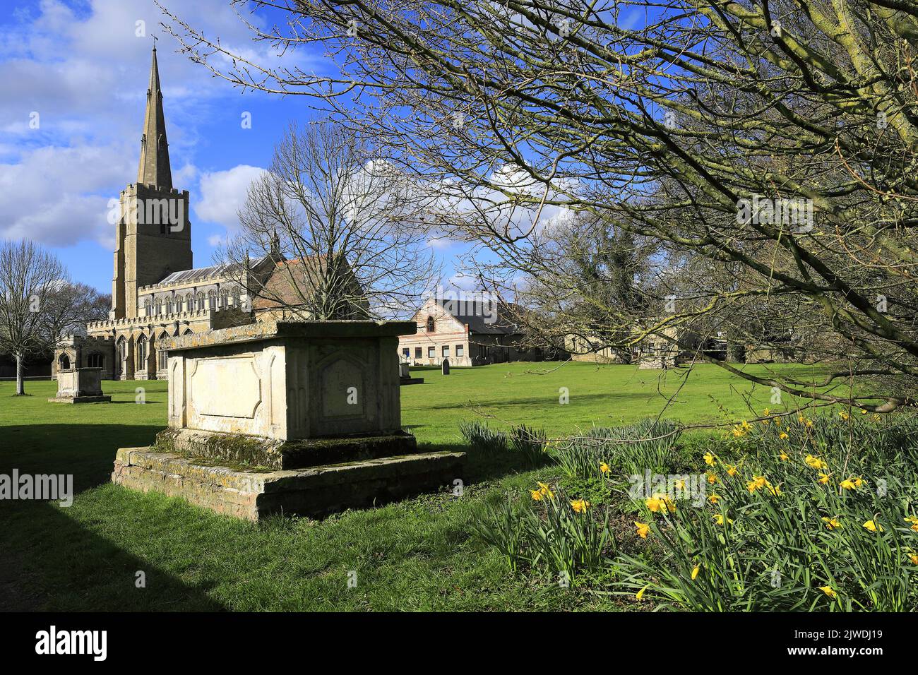 Frühlings-Narzissen in der St. Wendredas Kirche, March Town, Cambridgeshire, England, Großbritannien Stockfoto