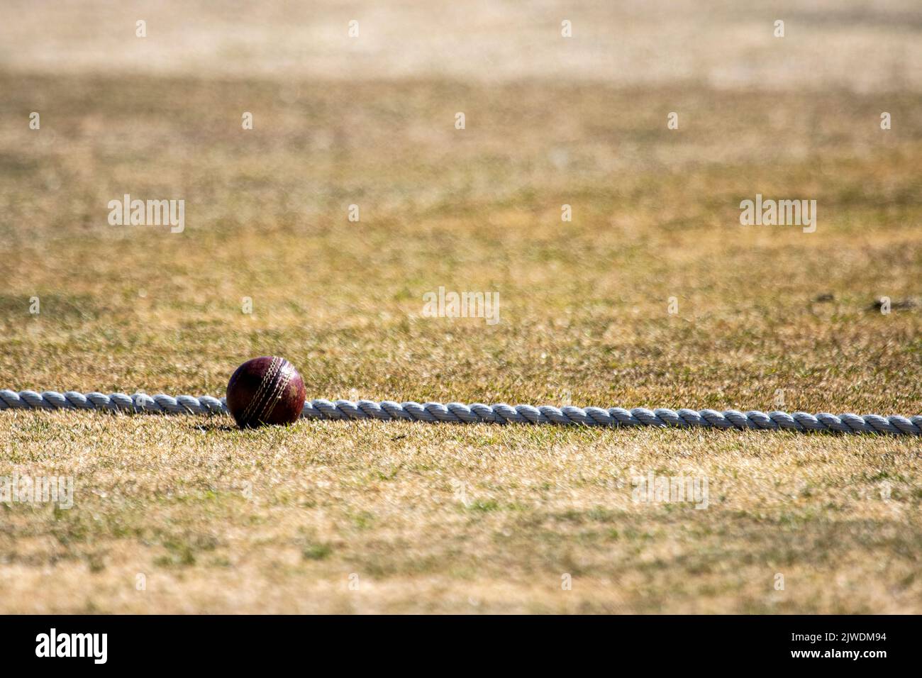 Ein Cricket-Ball, der bei heißem, trockenem Wetter auf dem Begrenzungsseil sitzt Stockfoto