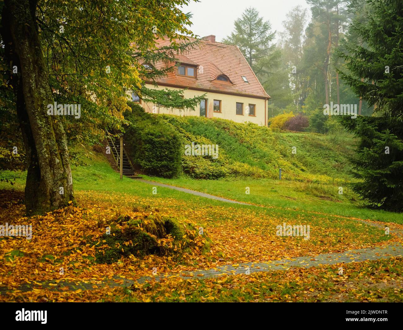 Landhaus auf einem Hügel, Blick vom Hinterhof in einem nebligen launischen Herbstmorgen Stockfoto