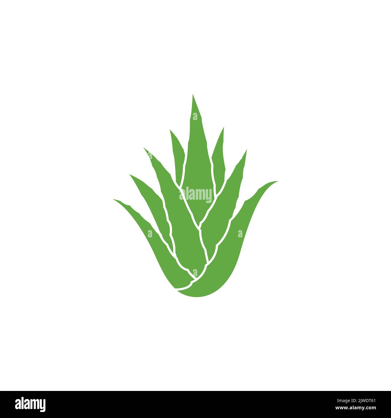 Grüne Aloe Vera Pflanze Icon Design. Aloe Vera-Blattsymbol. Symbol der Aloe Vera-Pflanze. Vektorgrafik Stock Vektor