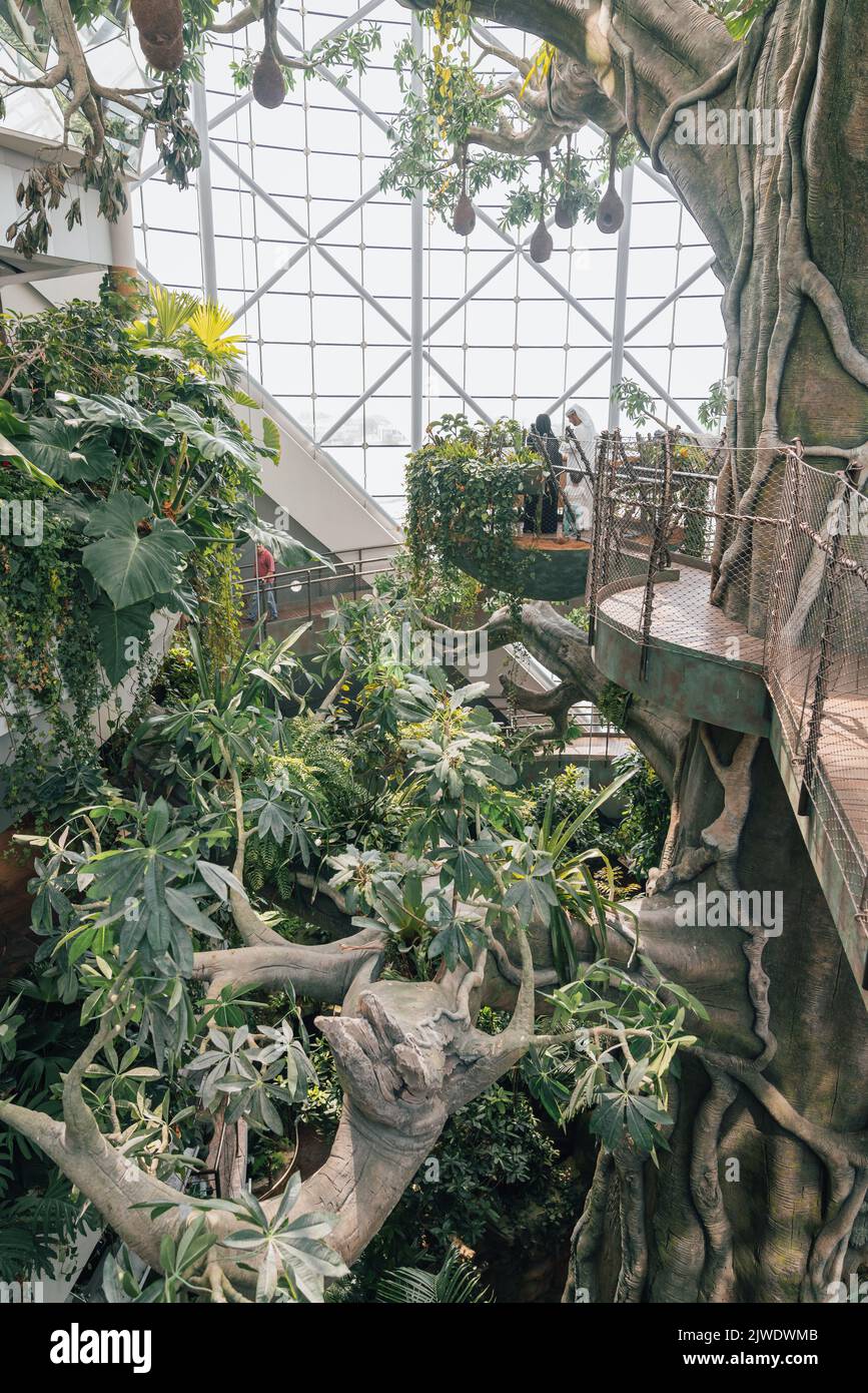 Dubai, VAE, 8. Oktober 2016: The Green Planet Dubai - Indoor-Regenwald-Umgebung mit tropischen Vögeln, Tieren und Pflanzen Stockfoto