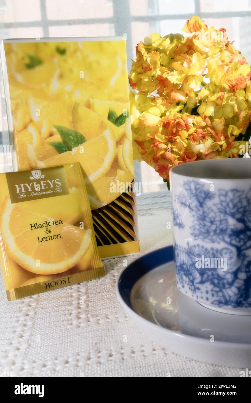 Hyley's Brand Black Tea & Lemon Teebeutel, USA 2022 Stockfoto