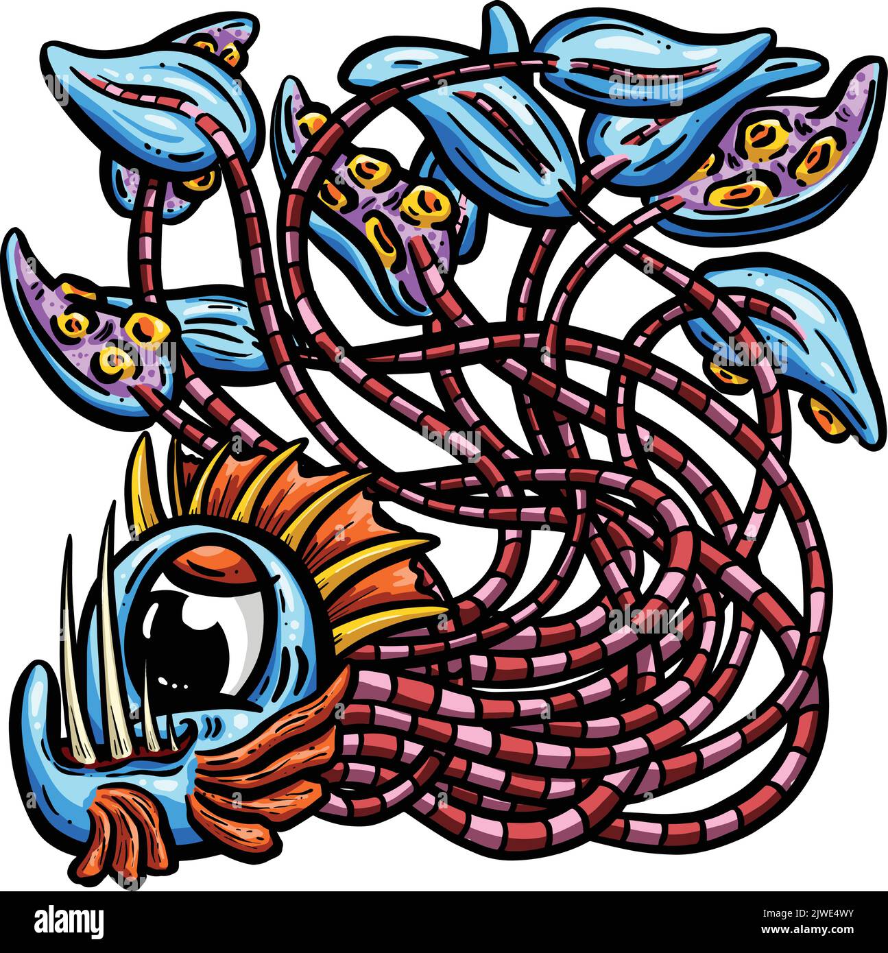 Wie Viele Tentakeln Hat Ein Tintenfisch www.alamy.de