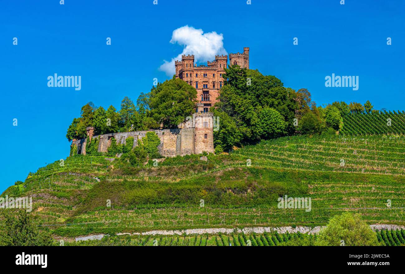 Blick auf das Schloss Ortenberg umgeben von Weinbergen Ortenberg, Baden Württemberg, Deutschland Stockfoto
