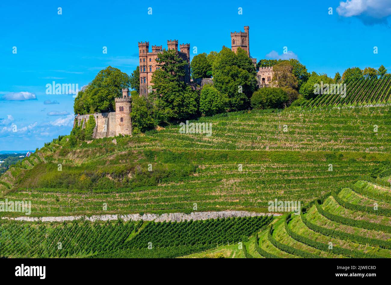 Blick auf das Schloss Ortenberg umgeben von Weinbergen Ortenberg, Baden Württemberg, Deutschland Stockfoto
