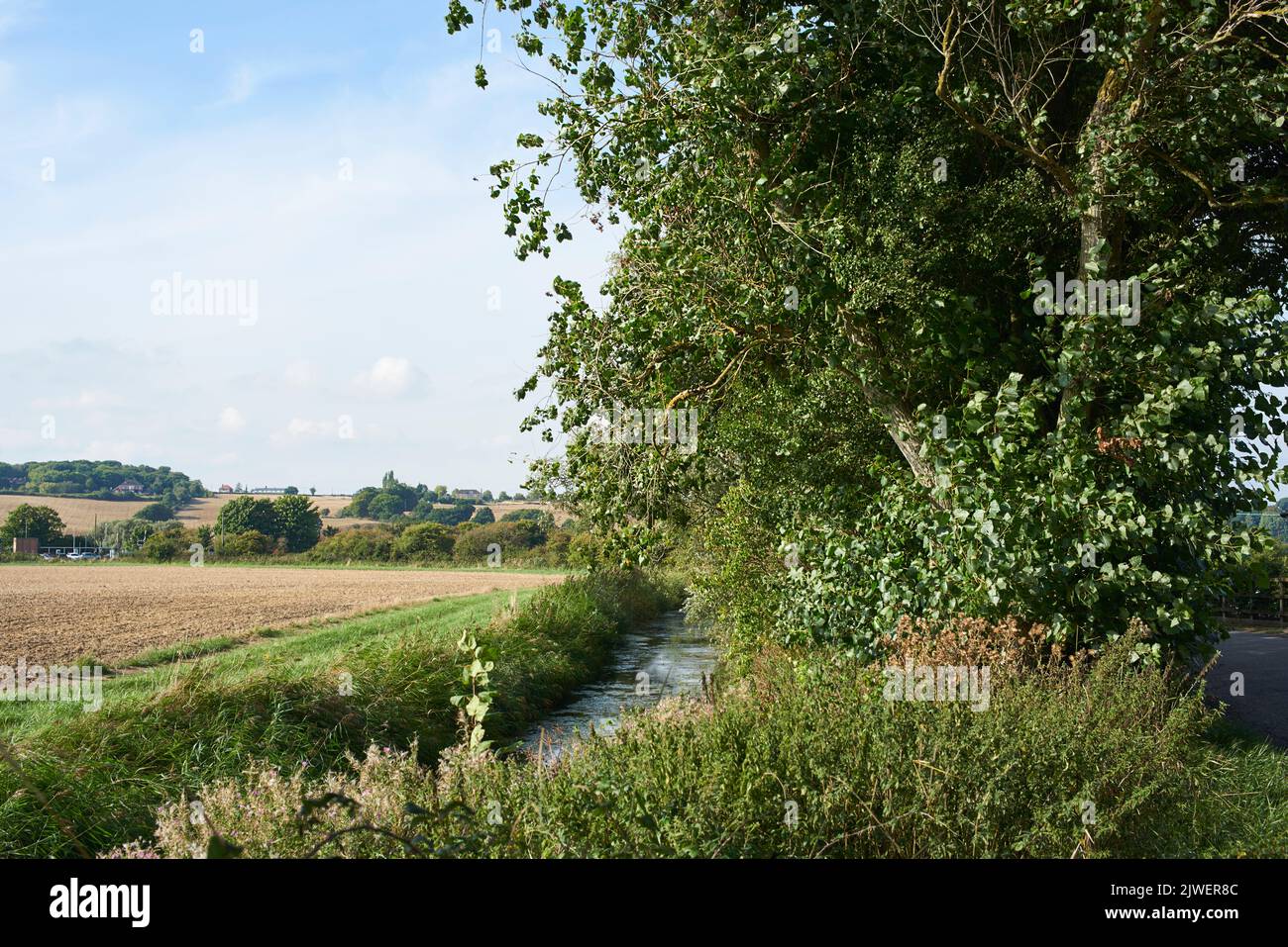 Im Spätsommer Land und Sumpfgebiet von East Sussex in der Nähe von Winchelsea, Südostengland Stockfoto