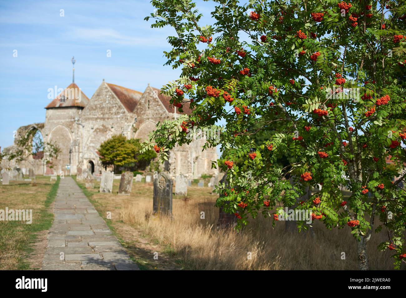 Der Kirchhof der mittelalterlichen Kirche St. Thomas der Märtyrer in der Stadt Winchelsea, East Sussex, Großbritannien Stockfoto