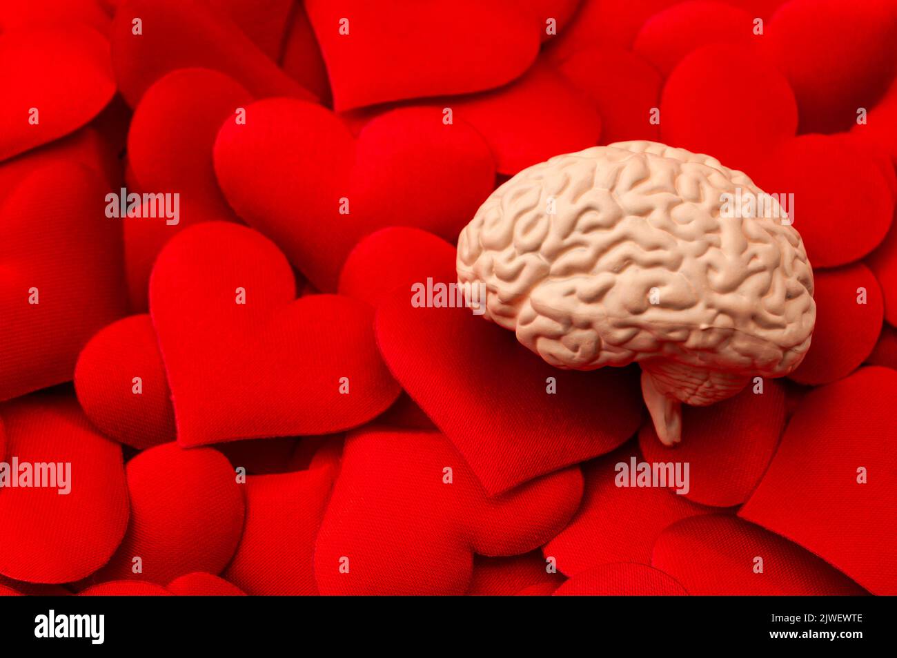 Gehirn, das analytisches Denken über Herzen repräsentiert konzeptuelles Bild für intelligenten Geist über leidenschaftliche Emotionen, objektives Erkennen kontrolliert Stockfoto