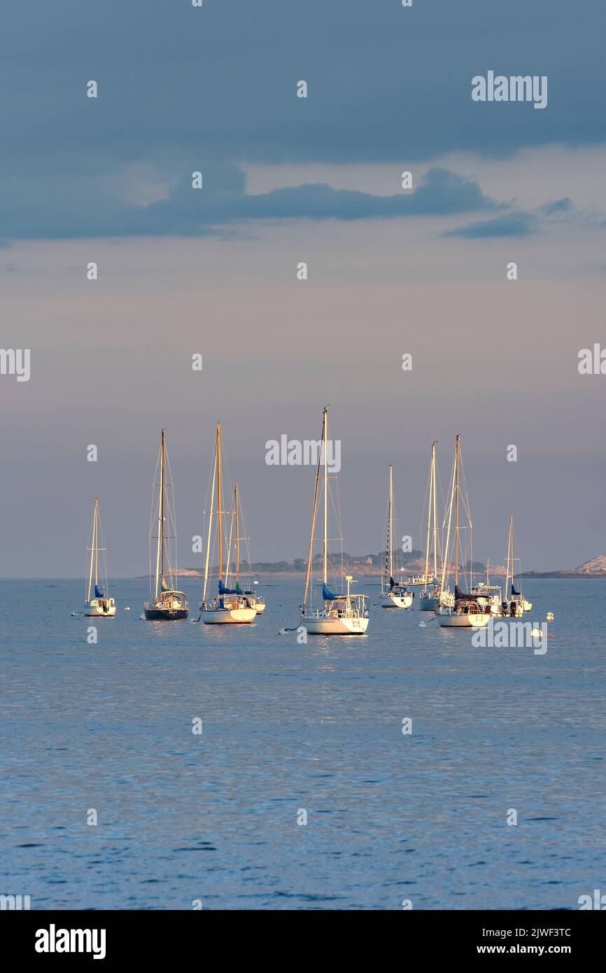 Beverly überblicken End of the Day Sunlight verankerte Boote im Beverly Channel Stockfoto