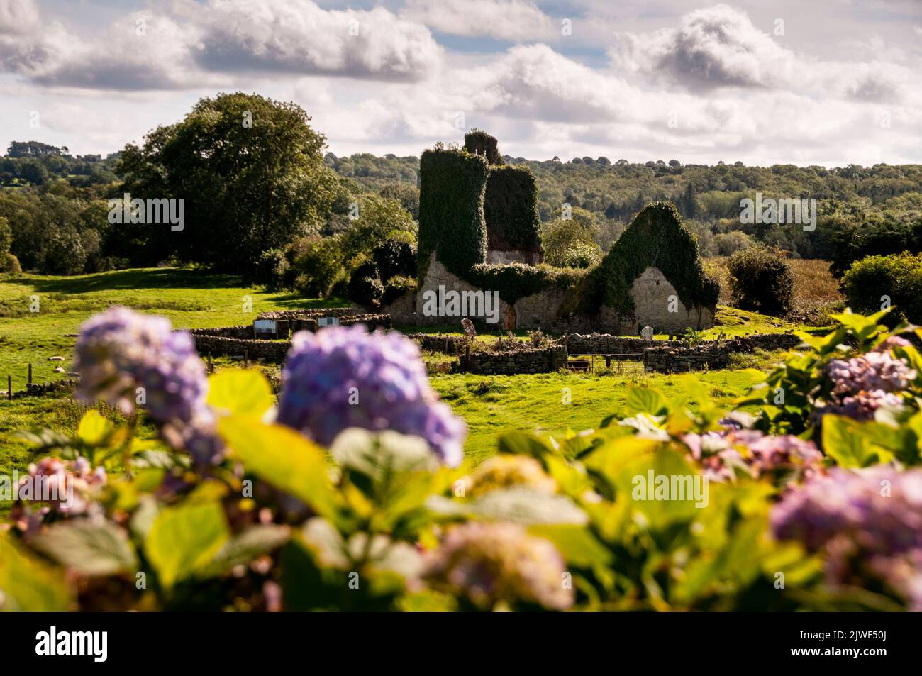 Ruinen der St. Nicholk Kirche im the12.. Jahrhundert verloren mittelalterliche Stadt Newton Jerpoint, Irland. Stockfoto