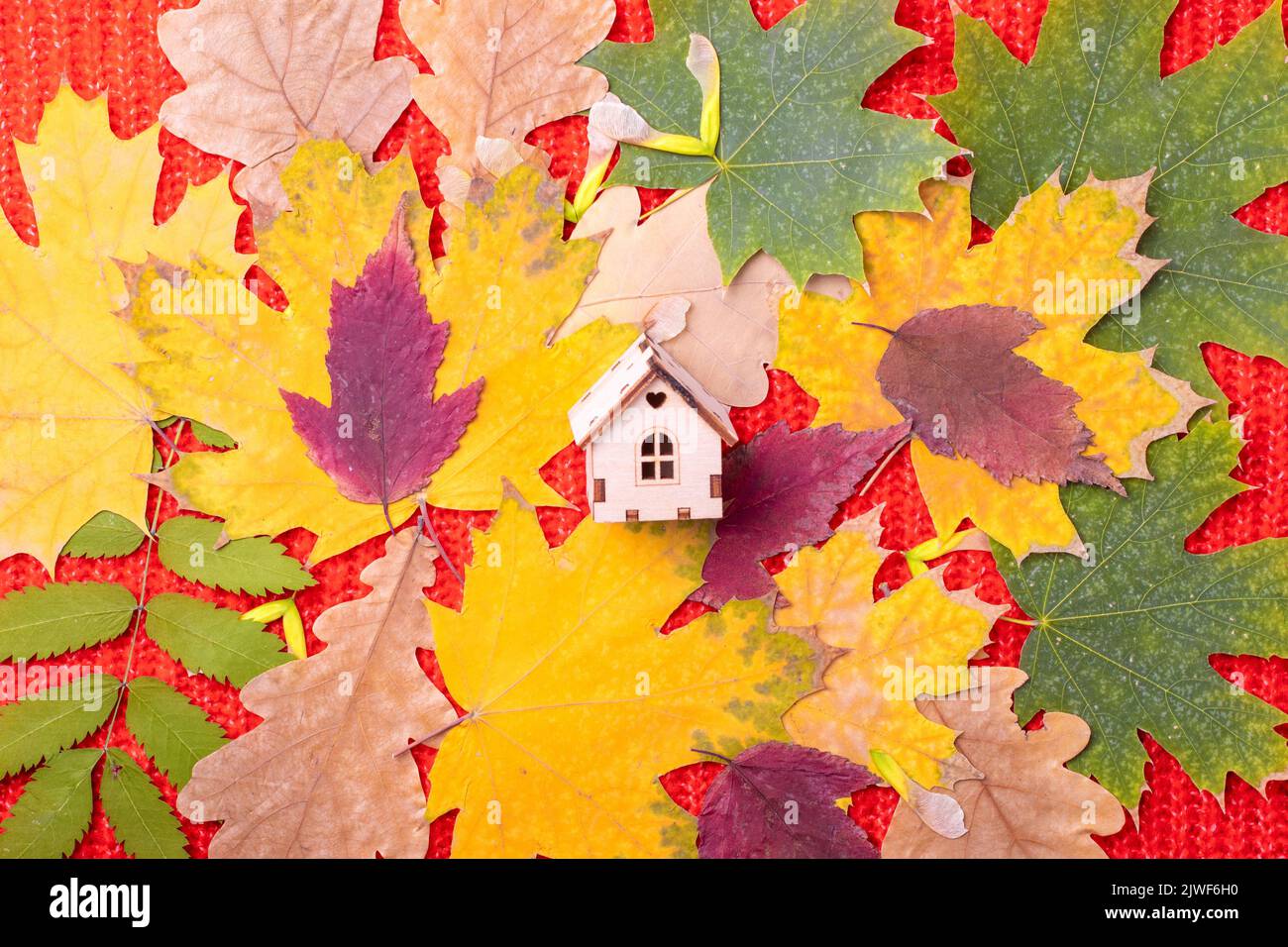 Kleines Holzhaus auf rotem Strickhintergrund mit rot-gelben Blättern. Das Haus ist ein Symbol für Familie und Liebe. Unterstützung für Verwandte und Freunde in Stockfoto