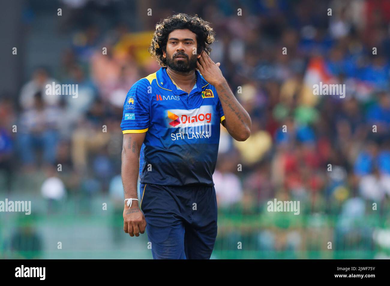 Lasith Malinga aus Sri Lanka sieht sich während eines Spiels zwischen Sri Lanka und Indien im R.Premadasa Cricket Stadium in Colombo an Stockfoto