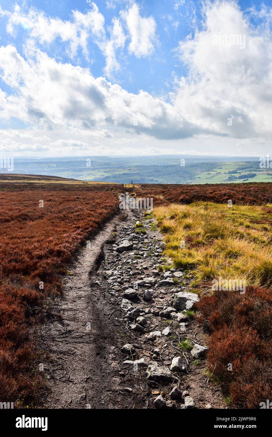 Churn Milk Joan, Boundary Stone, Midgley Moor, Calderdale, West Yorkshire Stockfoto