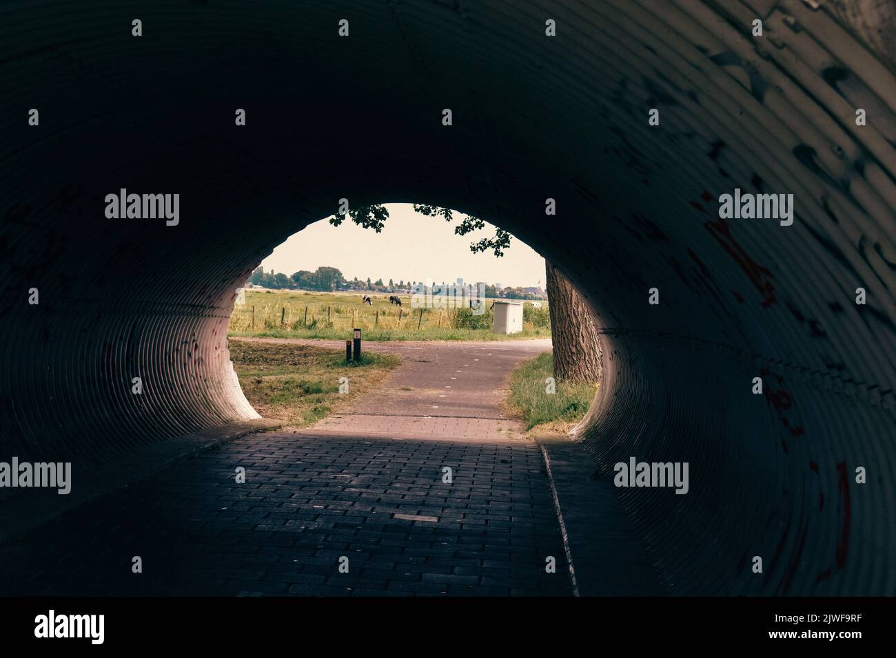 Leben in einer ruhigen Stadt, De Lier, Juni 2019 Stockfoto