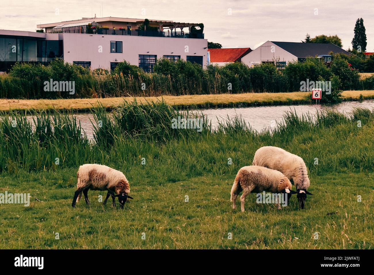 Leben in einer ruhigen Stadt, De Lier, Juni 2019 Stockfoto