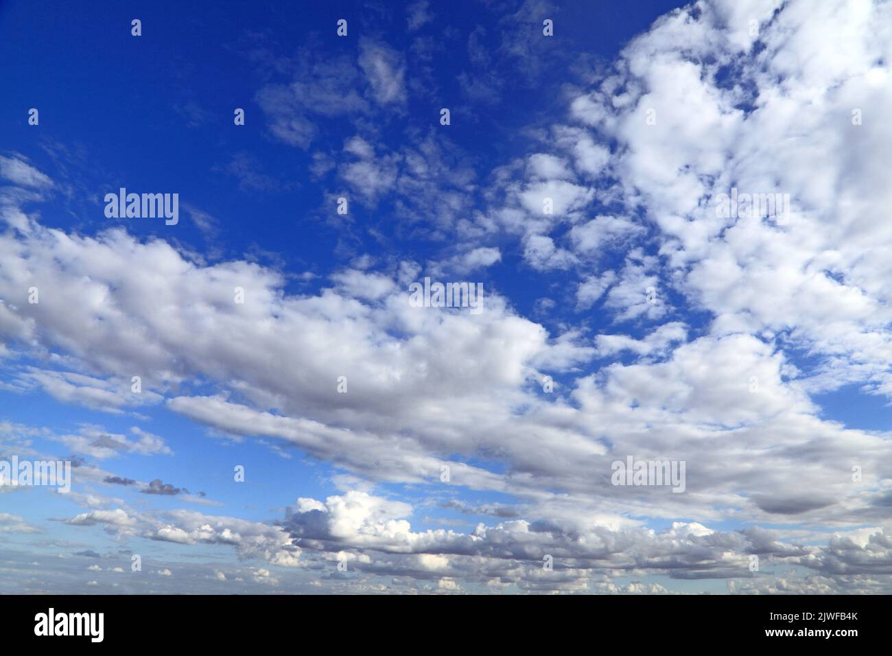 Weiße Cumuluswolken, graue Wolken, blauer Himmel, Wolke, Himmel, meteorologie, Wetter, Norfolk, England, Großbritannien Stockfoto