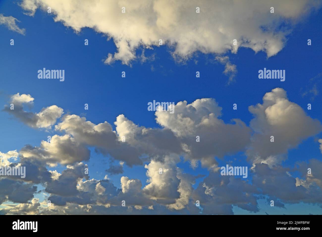 Weiß, grau, dunkel, Cumuluswolke, Wolken, Blauer Himmel, Himmel, Wetter, Meteorologie, England, VEREINIGTES KÖNIGREICH Stockfoto