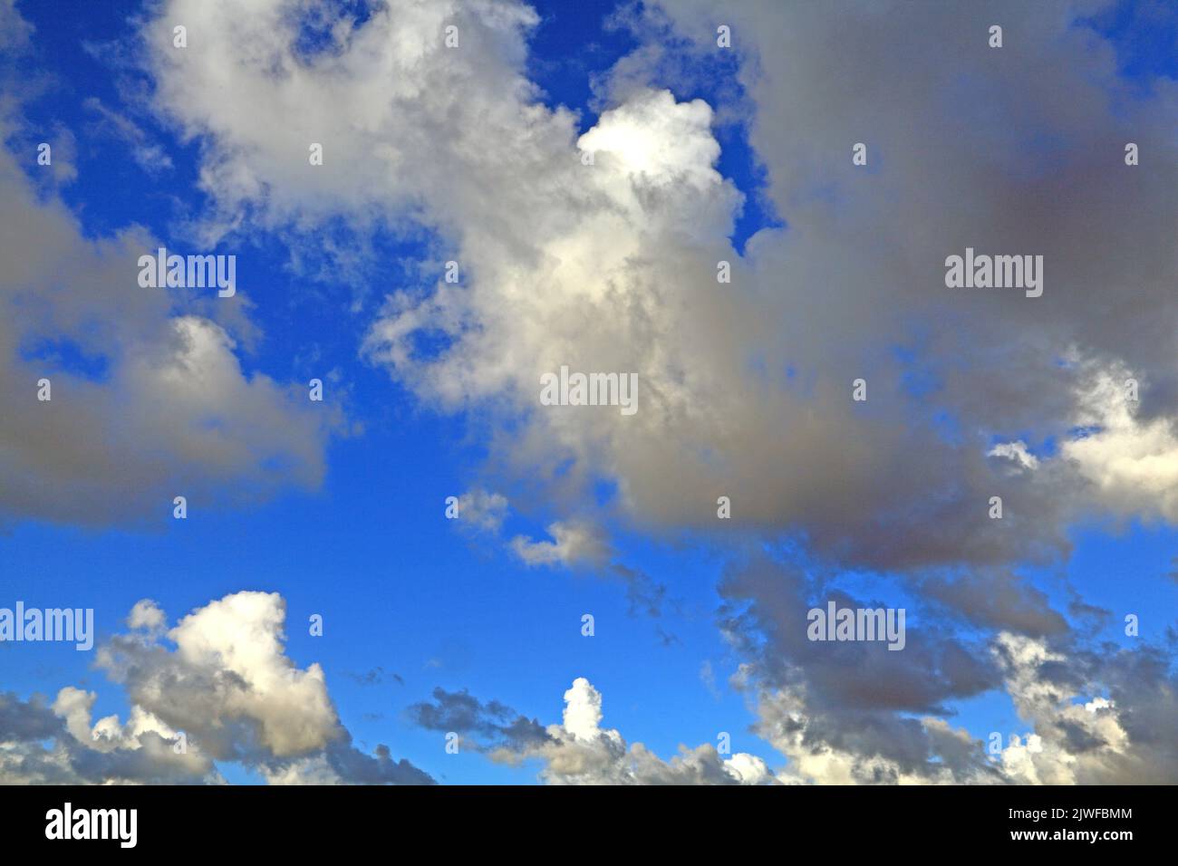Weiß, grau, dunkel, Cumuluswolke, Wolken, Blauer Himmel, Himmel, Wetter, Meteorologie, England, VEREINIGTES KÖNIGREICH Stockfoto