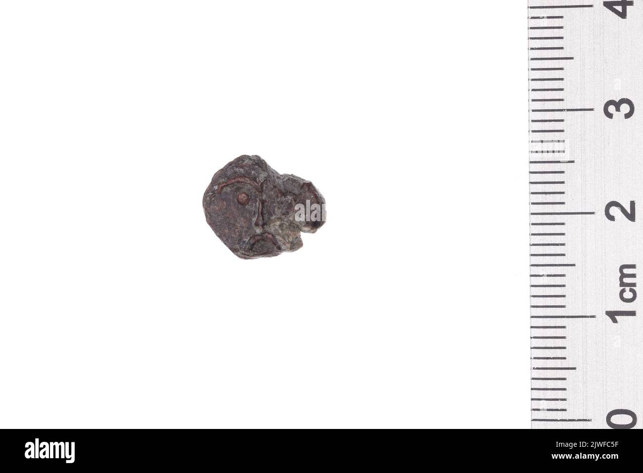 Drohiczyn-Siegel. Unbekannt, Manager Stockfoto