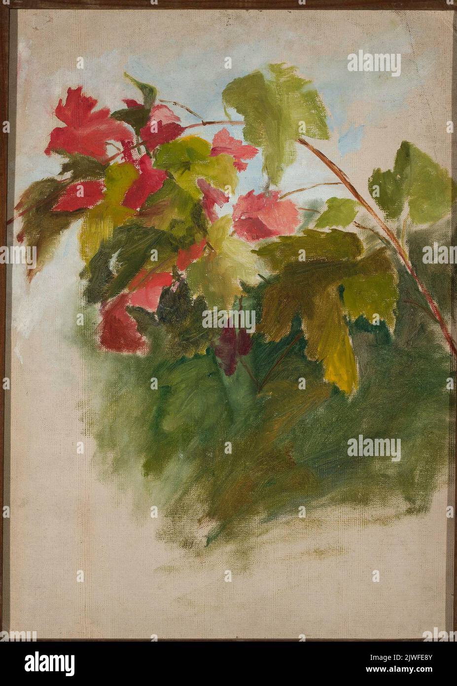 Weinblätter. Ciągliński, Jan (1858-1913), Maler Stockfoto