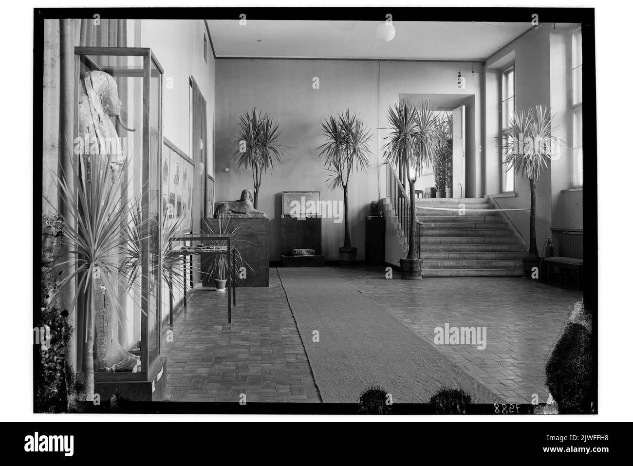 Muzeum Narodowe w Warszawie. Wystawa wykopalisk egipskich Uniwersytetu Józefa Piłsudskiego (28 IX - 28 XI 1937). Fragment ekspozycji. Tomaszewska, Zofia (1909-2003), Fotograf Stockfoto