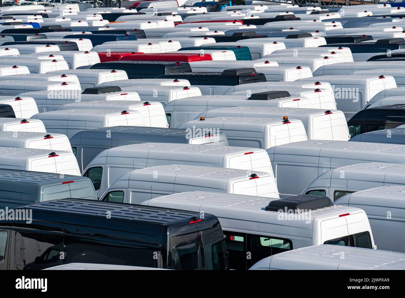 Autoterminal im Binnenhafen Logport I, in Duisburg am Rhein, Fahrzeugumschlag von Neuwagen, Transportern, Mercedes-Benz Sprinter, Lagerfläche, NRW, Ge Stockfoto