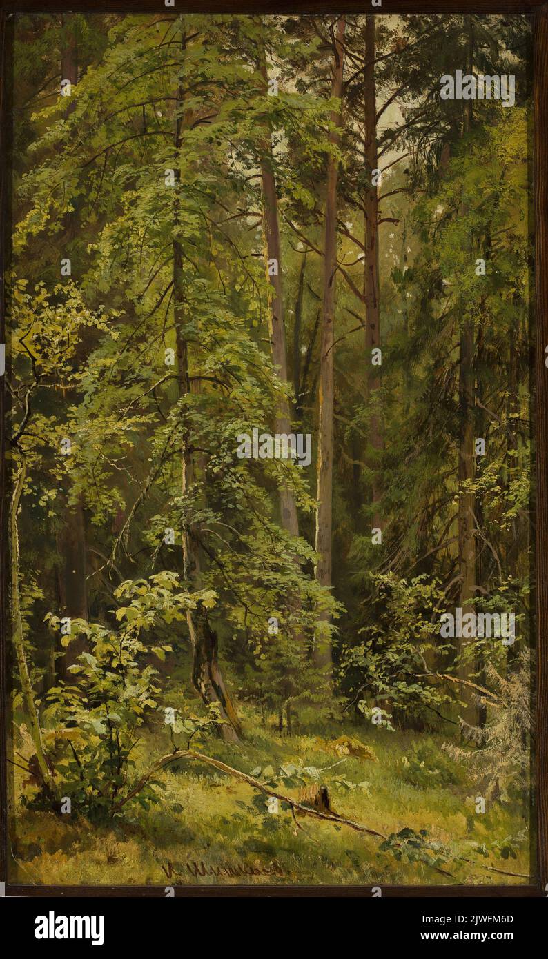 Wald. Szyszkin, Iwan (1832-1898), Maler Stockfoto