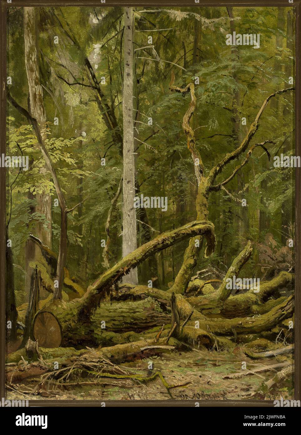 Eiche abschneiden. Szyszkin, Iwan (1832-1898), Maler Stockfoto