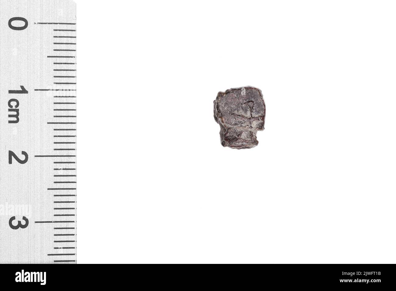 Drohiczyn-Siegel. Unbekannt, Manager Stockfoto