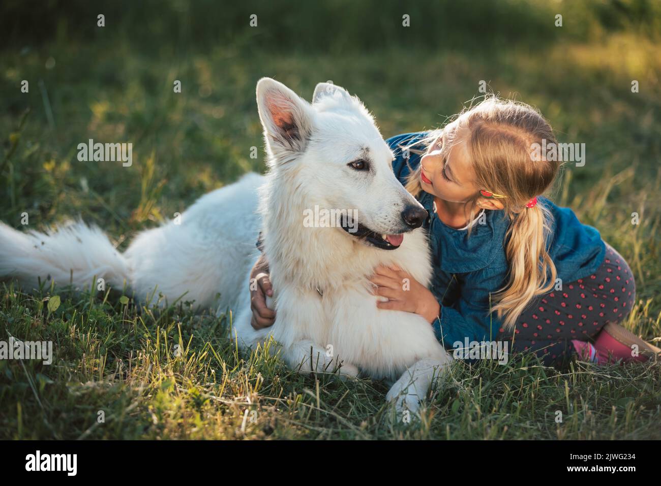 Nettes blondes kaukasisches kleines Mädchen, das auf dem Gras sitzt und ihren Hund streichelt, einen schönen weißen Schweizer Schäferhund Stockfoto