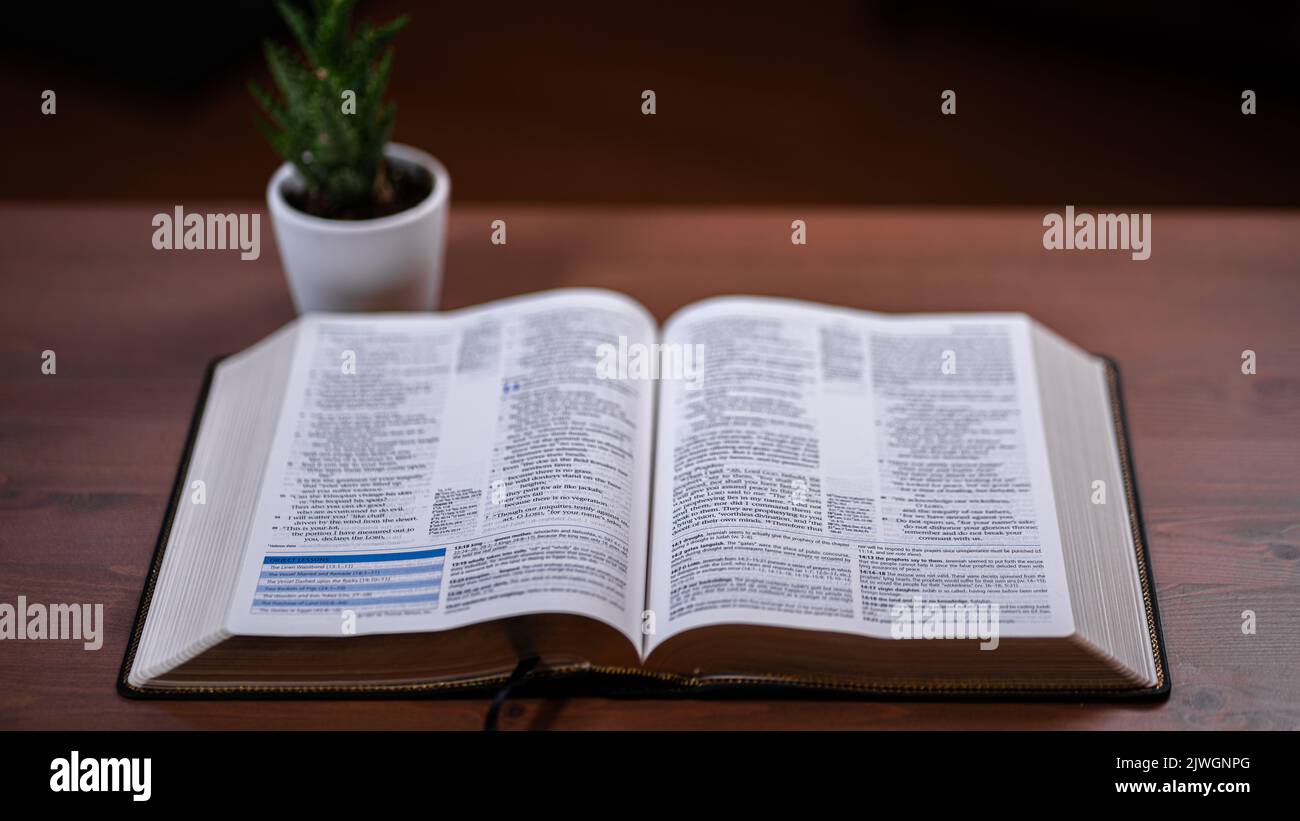 Öffnen Sie die Bibel auf dem Tisch mit Sukkkulenten Stockfoto