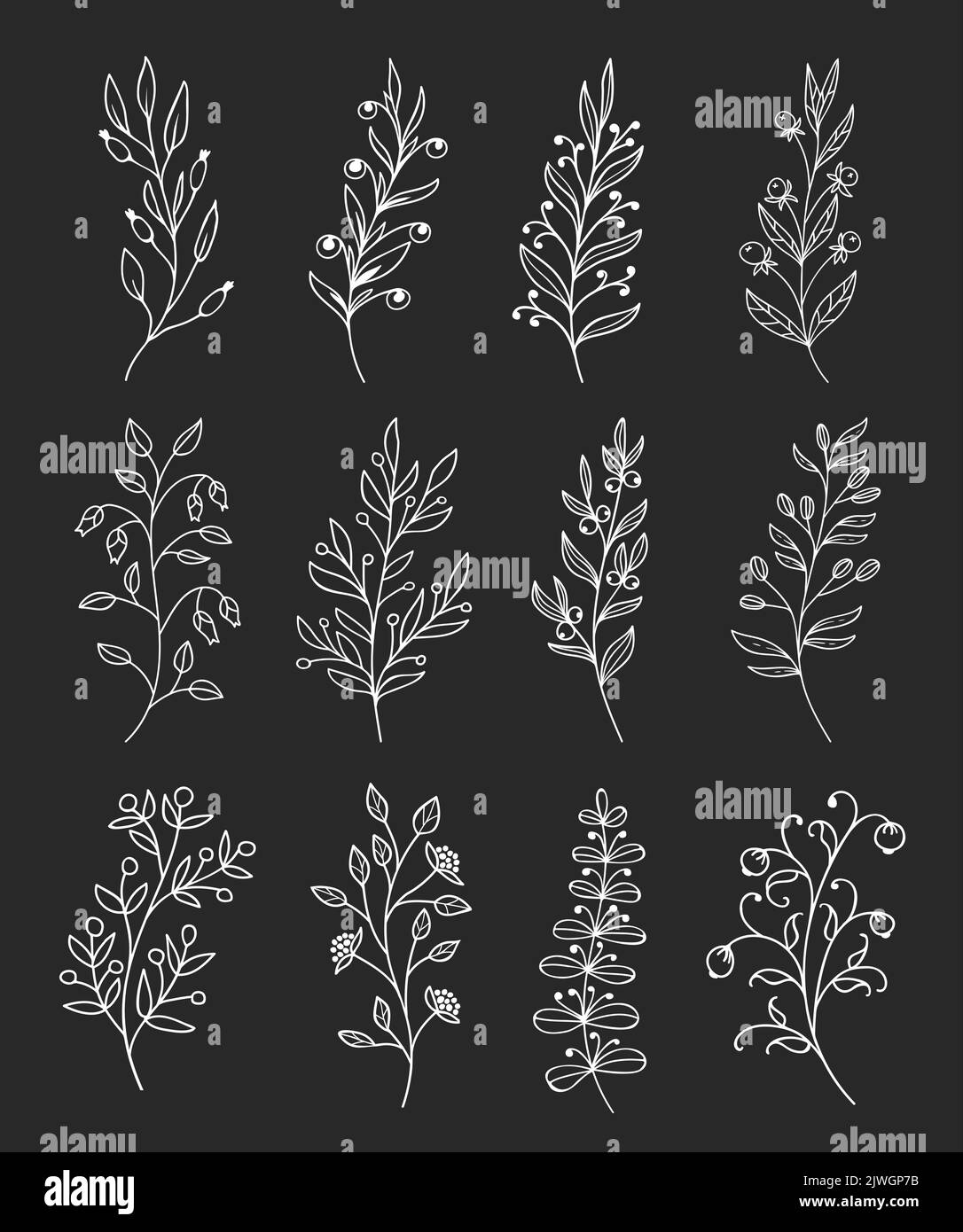 Zweige und Zweige mit Beeren umreißen. Strauchpflanzen Äste und Gartenkräuter Zweige und Zweige florale Linie Vektor Dekorationen. Feldpflanzen Samen, Blume racemes und Beeren Stock Vektor