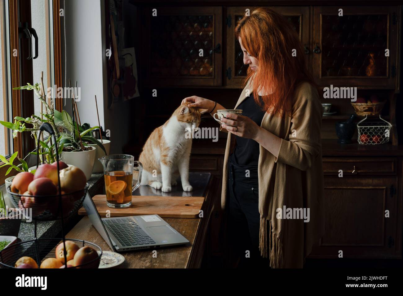 Frau trinkt Tee und streichelte Katze in der Küche. Gemütlicher Morgenalltag zu Hause. Niedliche Ingwer-Katze mit Besitzer auf dem Tisch. Vintage-Haus, stilvoll alt Stockfoto