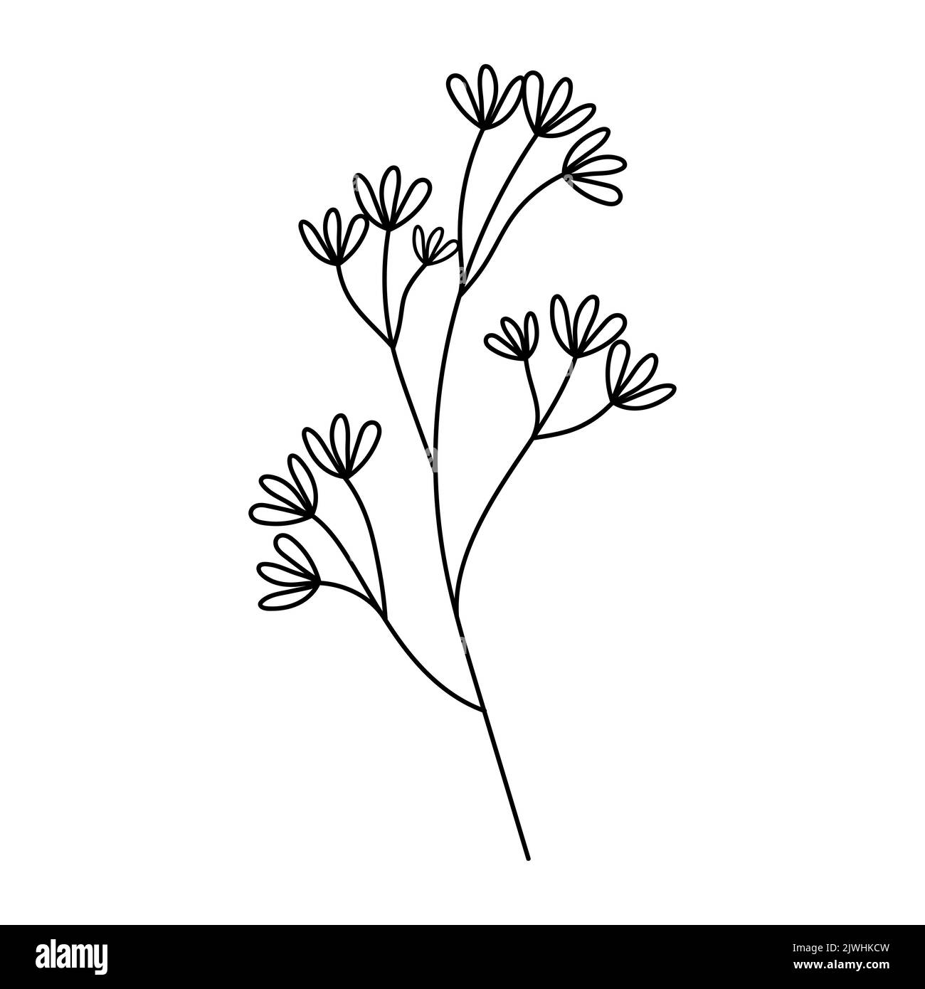 Illustration einer Blume, Silhouette eines Zweiges mit Blumen und Blättern. Vektorgrafik. Blumendruck Stock Vektor