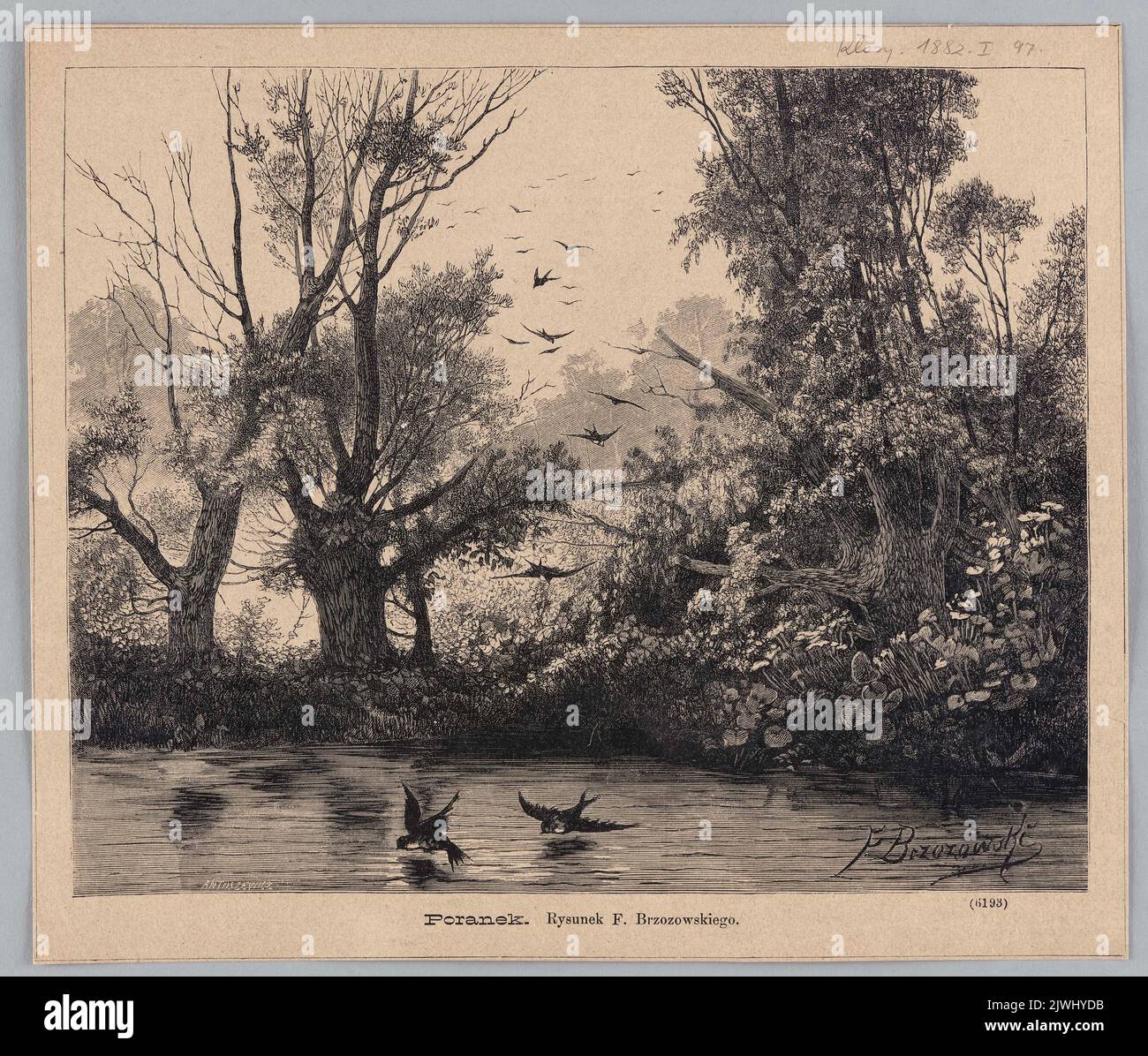 Brzozowski, Feliks (1836-1892), Ein Morgen; aus Richtung Kłosy 1882, I, 97. Kłosy (Warszawa ; drzeworytnia ; 1865-1890), Druckerei, Brzozowski, Feliks (1836-1892), Zeichner, Karikaturist, Antoszewicz, Stanisław (fl. 1873-1887), Graviermaschine Stockfoto