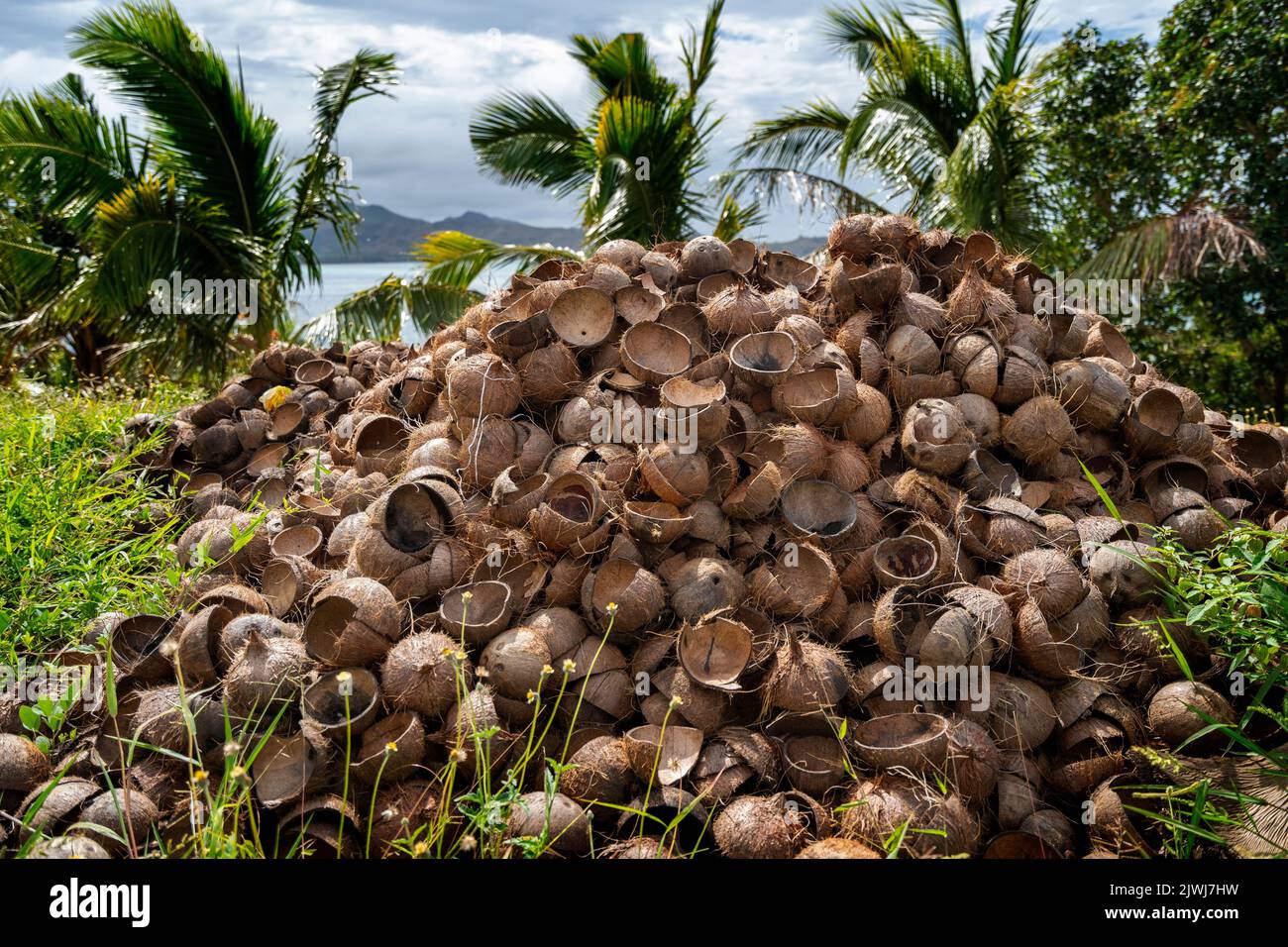 Stapel leerer Kokosnussschalen nach der Verarbeitung, um das Kopra entfernen zu lassen. Yasawa Island, Fidschi Stockfoto