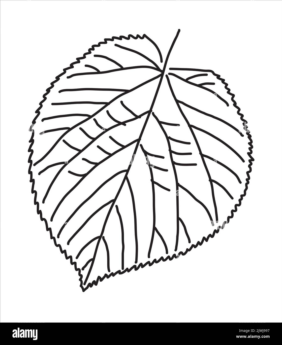 Lindenblatt Im Doodle Stil Handgezeichnete Herbstsilhouette lindenblatt-im-doodle-stil-handgezeichnete-herbstsilhouette