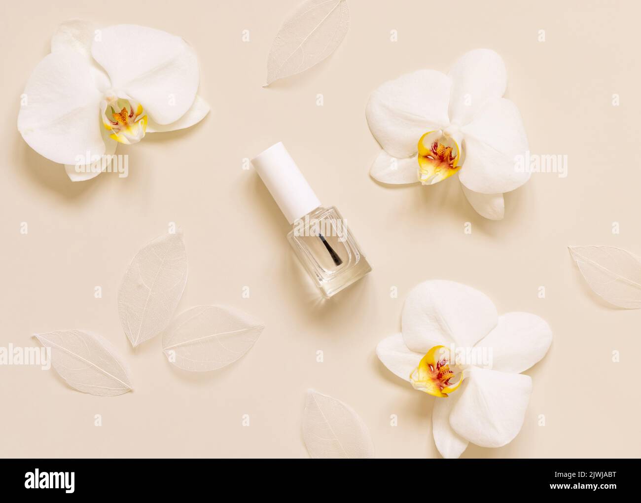 Wiederfüllbare Flasche aus klarem Glas mit Bürstendeckel in der Nähe einer weißen Orchideenblüte auf hellbeige, Draufsicht, Nail-Produktmockup. Exotische Naturkosmetik, Pastell Stockfoto