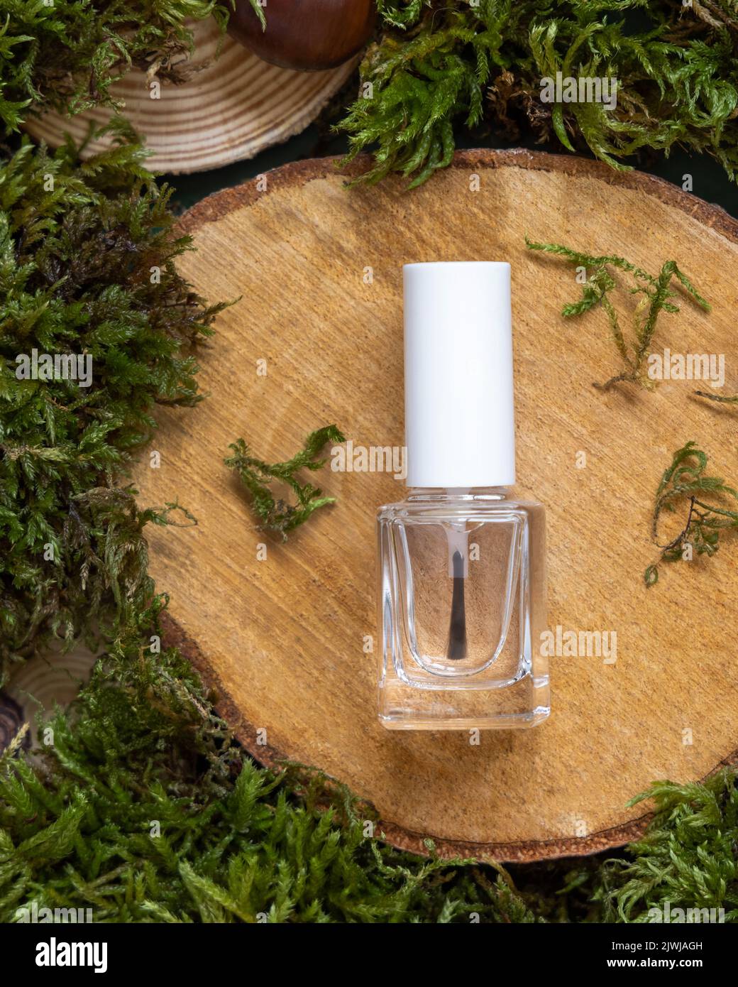Nachfüllbare Flasche mit Bürstendeckel auf Holzstück zwischen grünem Moos, Pinienzapfen und Nüssen, Draufsicht, Mockup. Hautpflege Beauty-Produkt-Paket. Natürliches O Stockfoto