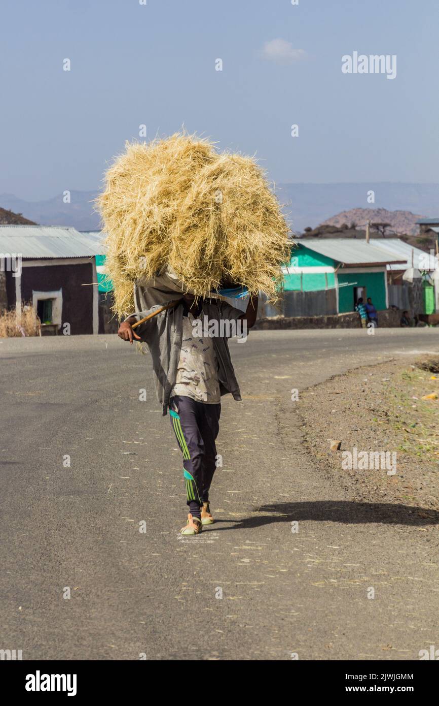 NORD-ÄTHIOPIEN - 31. MÄRZ 2019: Mann, der in einem Dorf in der Nähe von Lalibela, Äthiopien, eine Ladung Stroh trägt Stockfoto