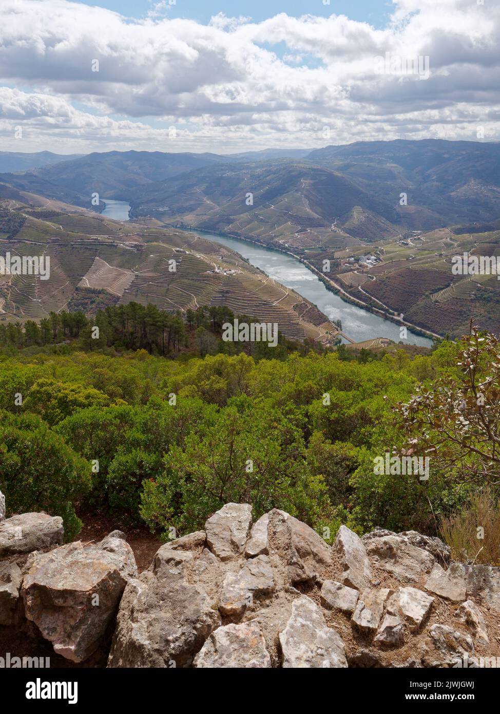 Erhöhte Aussicht auf das Douro-Tal und den Fluss, Portugal. Stockfoto