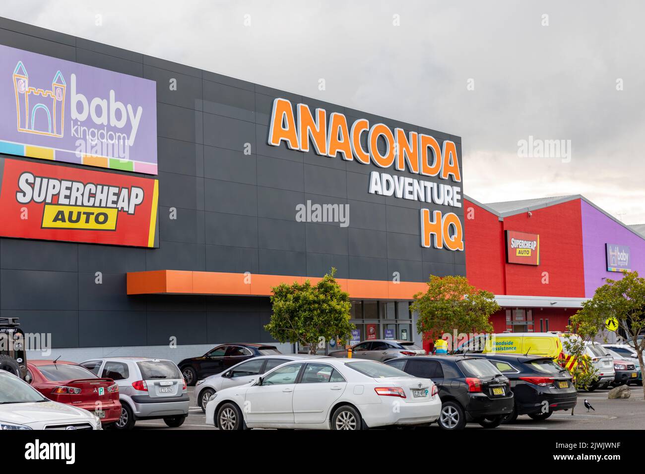 Anaconda store australien Fotos und Bildmaterial in hoher Auflösung