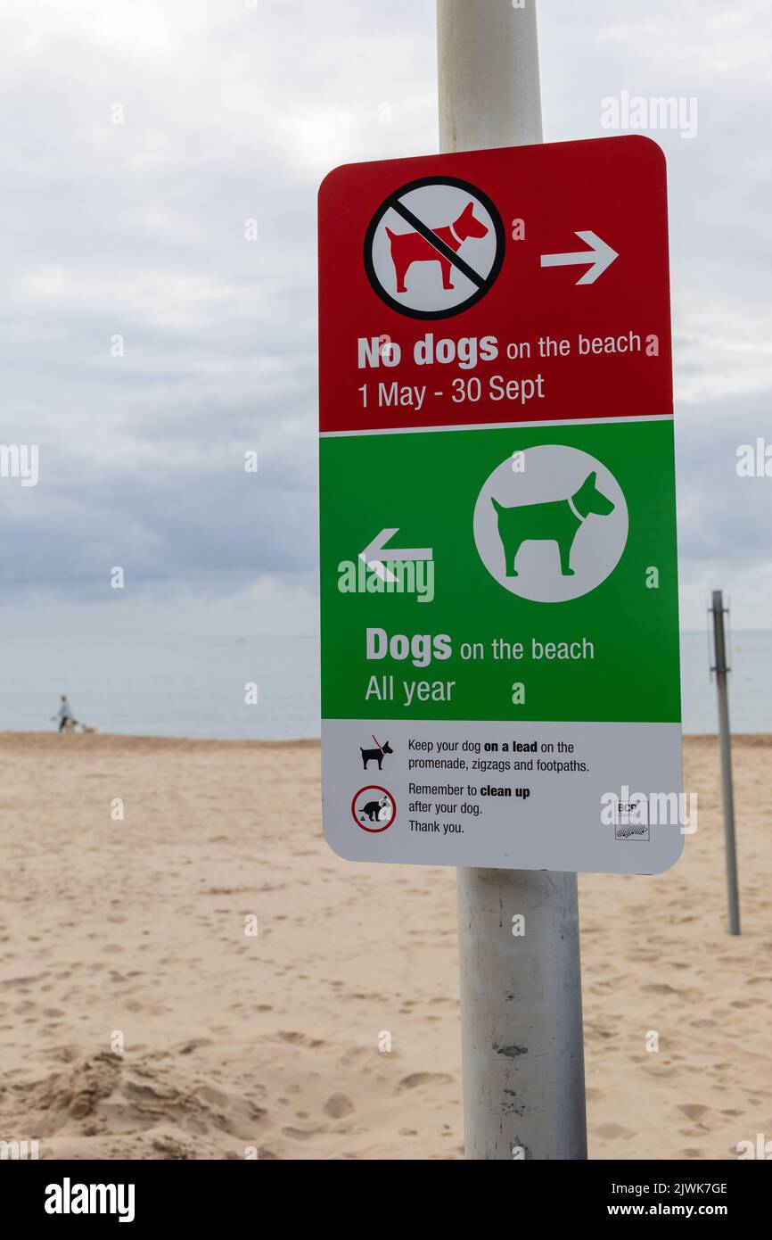 Schild/Hinweis am Strand von Bournemouth, das ganze Jahr über keine Hunde am Strand und keine Hunde am Strand Stockfoto