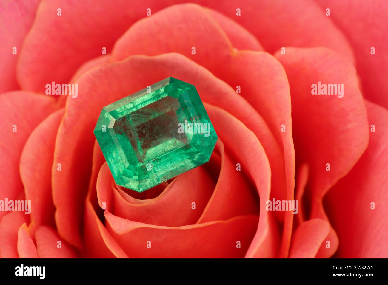 Natürlicher grüner Smaragd-Edelstein auf roter Rosenblüte Stockfoto