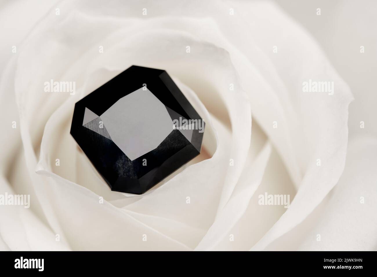 Kostbarer schwarzer Edelstein auf weißer Rosenblüte Stockfoto