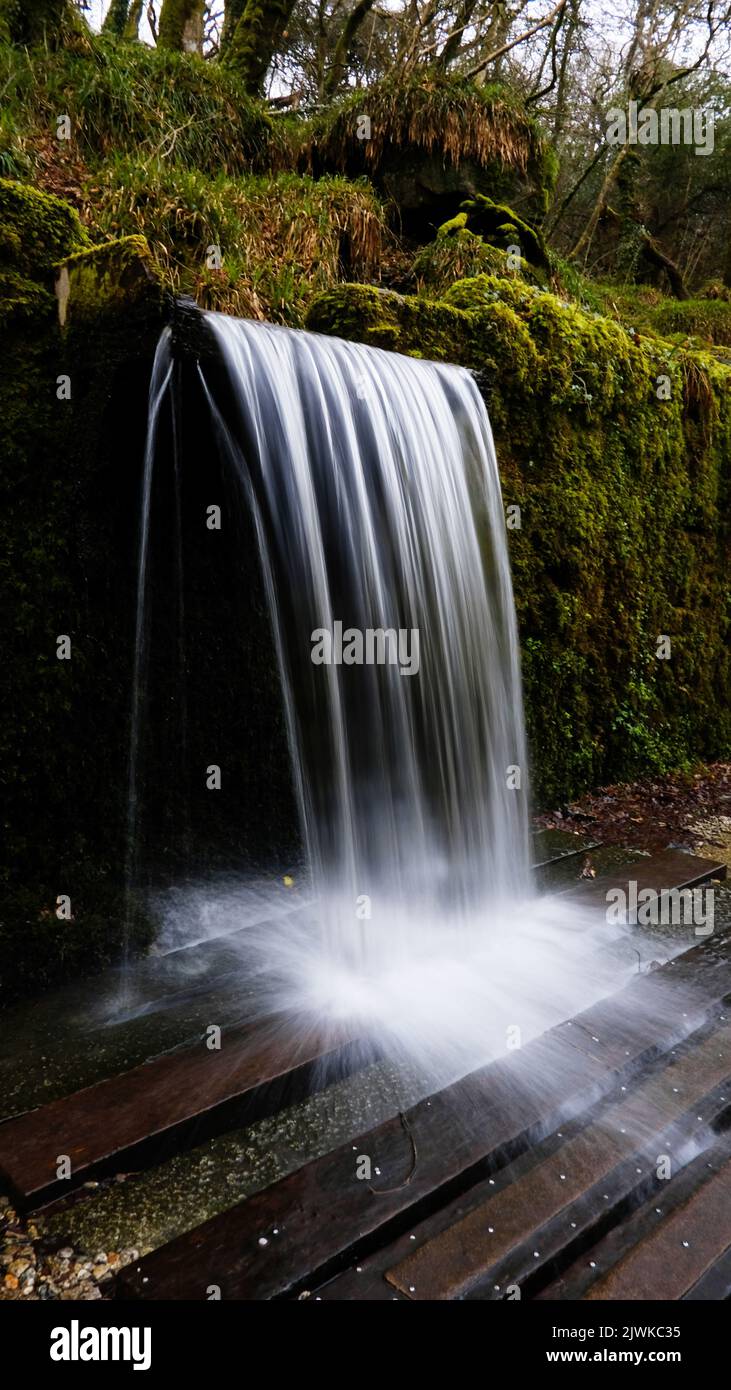 Waterfall, Kennall Ve, Cornwall, Großbritannien - John Gollop Stockfoto