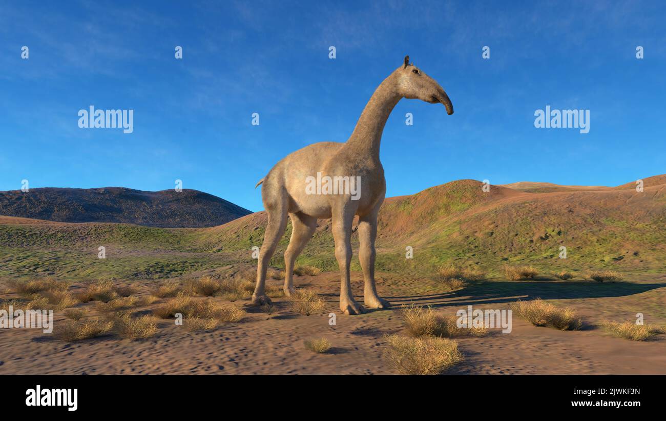 3D Abbildung einer Macrauchenia Stockfoto