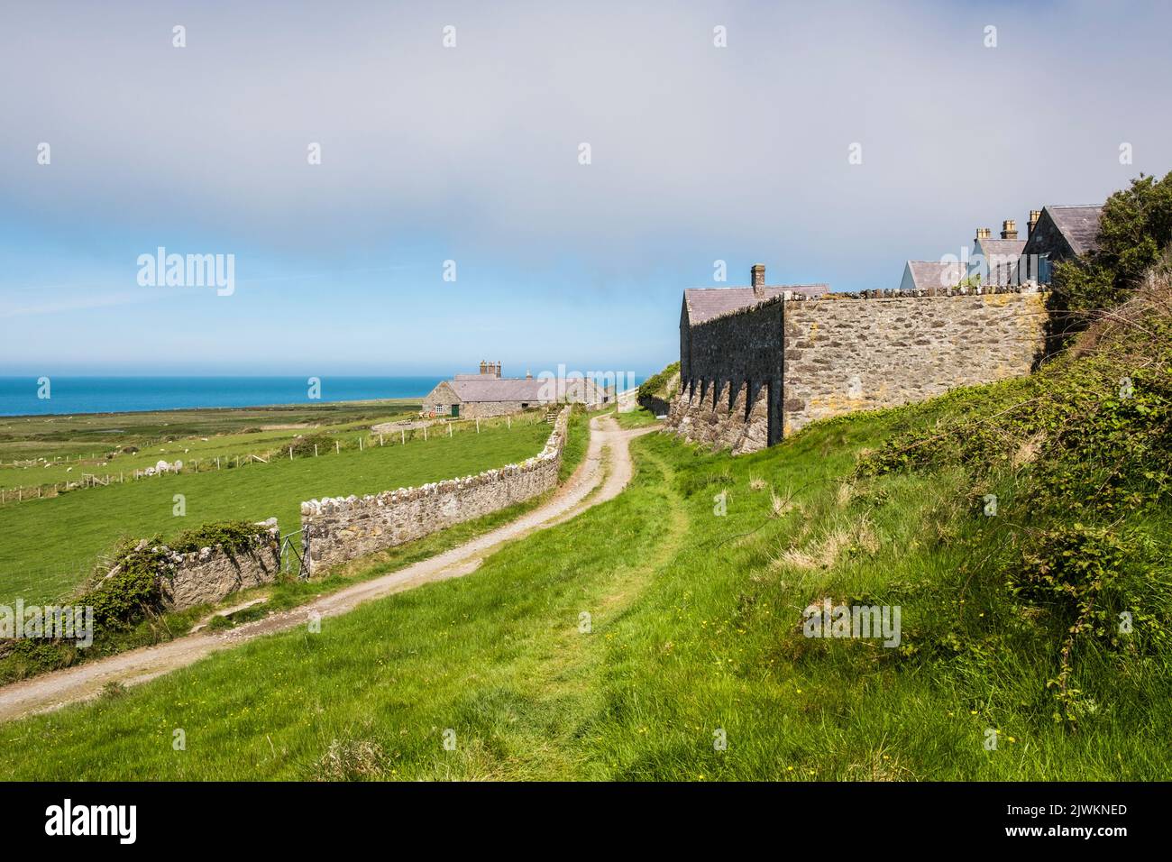 Weg entlang der Insel. Vorbei an der Bardsey Bird and Field Observatory. Ynys Enlli oder Bardsey Island Llyn Peninsula Gwynedd North Wales Großbritannien Stockfoto