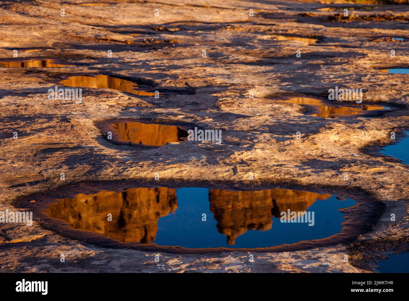 Die Orgel, ein Sandsteinmonolith in den Courthouse Towers, spiegelt sich in einem Regenwasserloch im Arches National Park, Moab, Utah. Stockfoto