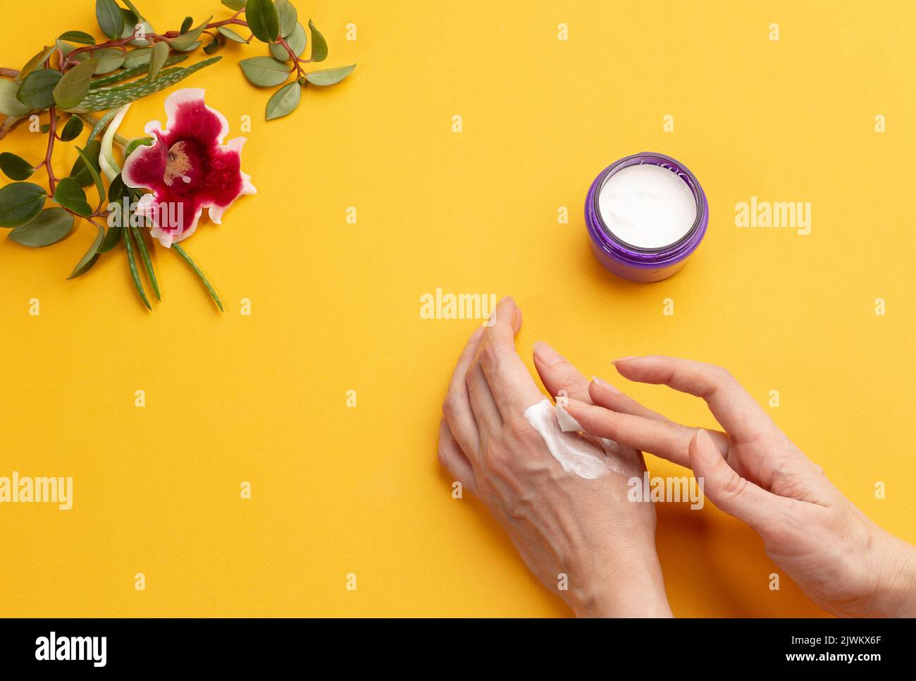 Weibliche Hände tragen Creme auf gelbem Hintergrund mit Kopierraum auf. Kosmetologie und Home Care Konzept. Gesunde Organische Natürliche Masken Stockfoto